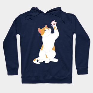 ORANGE & WHITE CAT Hoodie